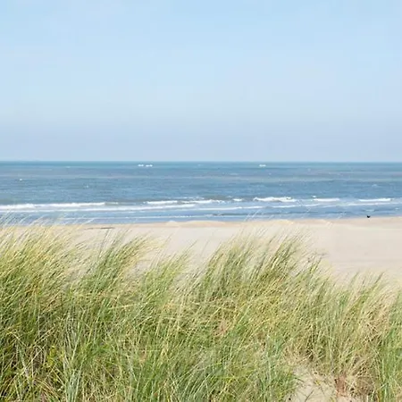 Huisje Aan Zee Noordwijk